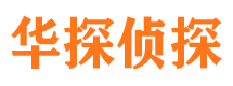 太子河调查公司